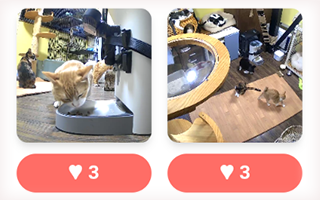 施設のアルバム閲覧