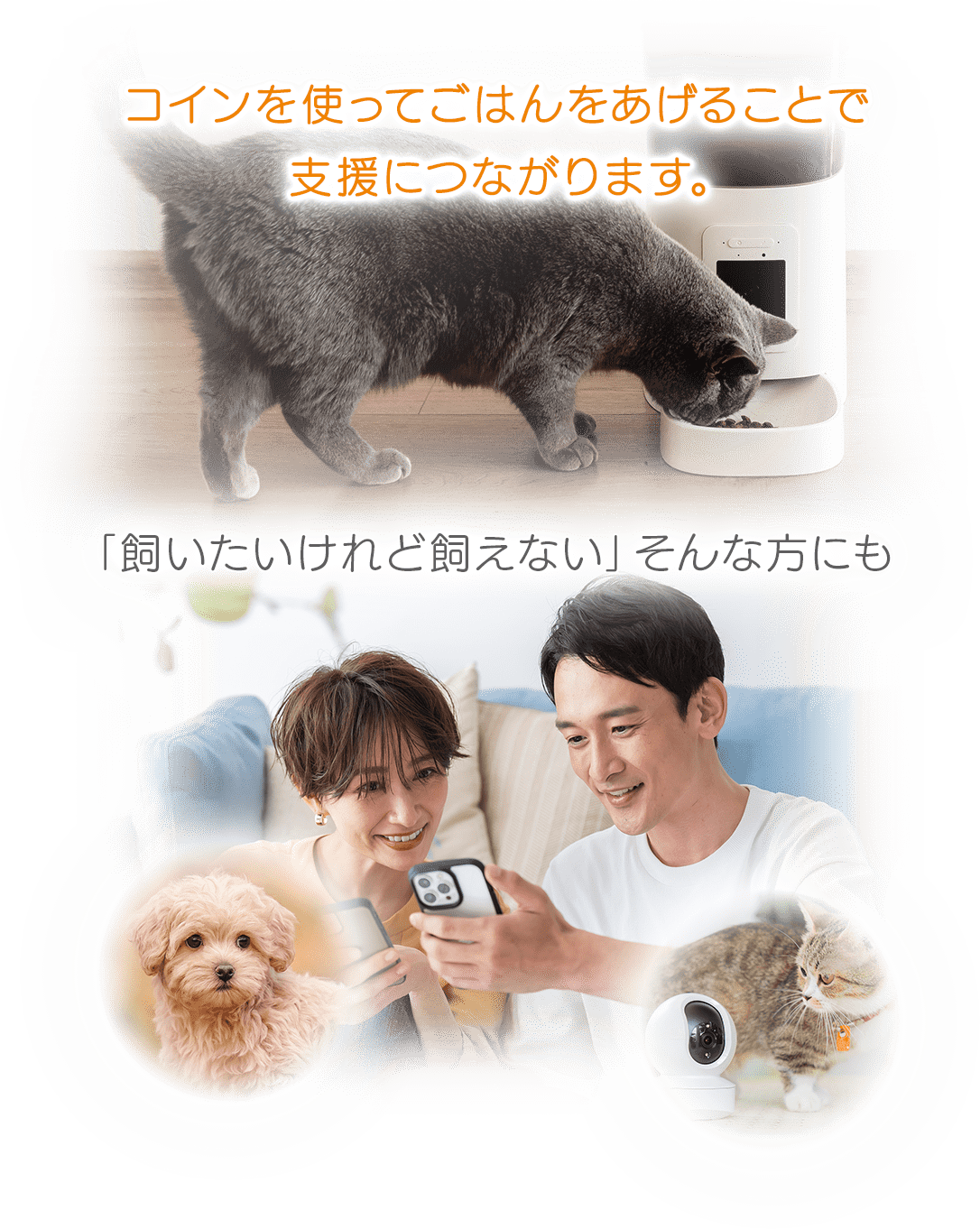 コインを使ってごはんをあげることで支援につながります。 「飼いたいけれど飼えない」そんな方にも